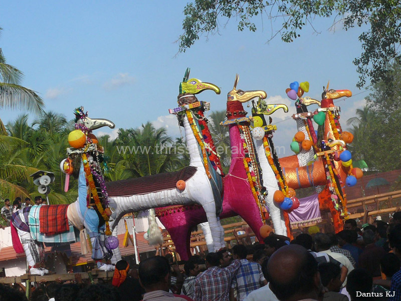 mangad-pooram-2013 (18)